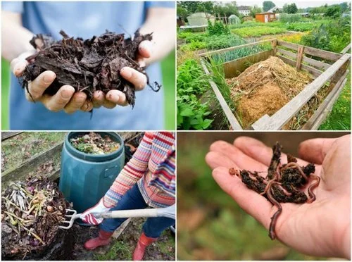 Compost SOS: Troubleshooting Common Compost Pro...