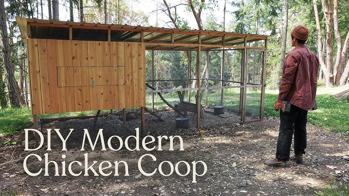 A well-maintained chicken coop with chickens roaming freely in a backyard garden