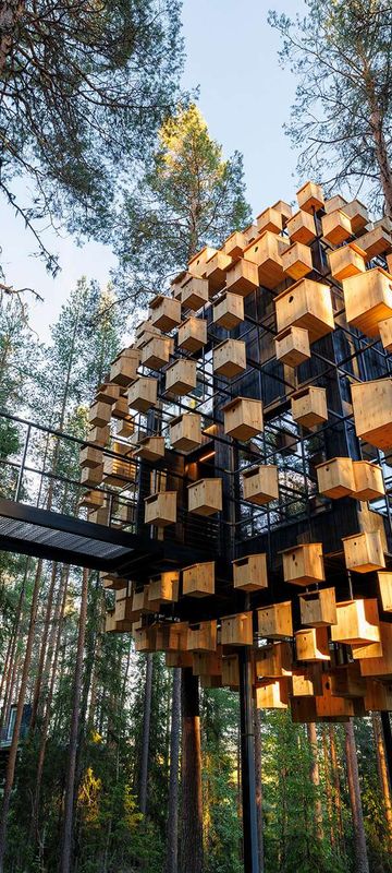 # Treehotel in Swedish Lapland: An Architect's Eco...