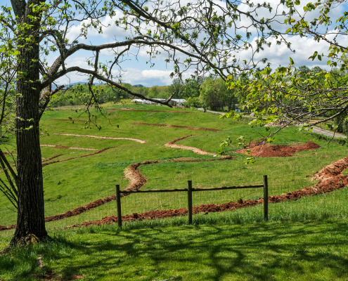 A medium shot, natural lighting photograph of an Appalachian homesteader (Ms. Willow Creek) demonstrating the proper construction of a woven wire fence around a young fruit tree within a silvopasture system. She should be smiling and appear knowledgeable. The background shows rolling hills and a well-established silvopasture system.