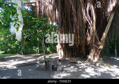 Mount Yasur Volcano Erupting at Sunset