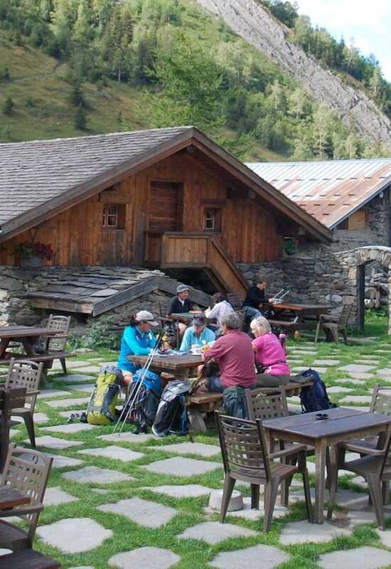 Hikers on the Tour du Mont Blanc, passing a herd of grazing cows