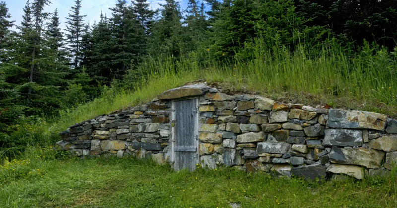 A well-stocked root cellar