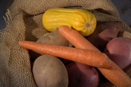 A well-organized root cellar filled with various fruits and vegetables