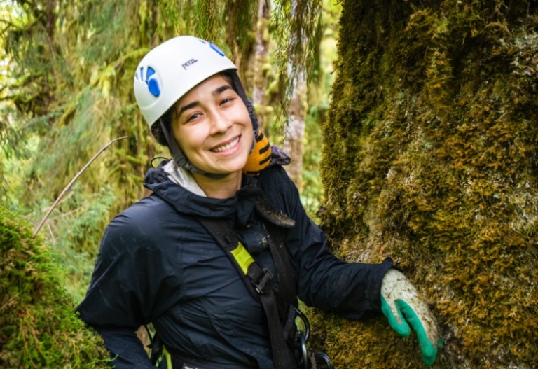 Amanita muscaria mushroom in the Hoh Rainforest