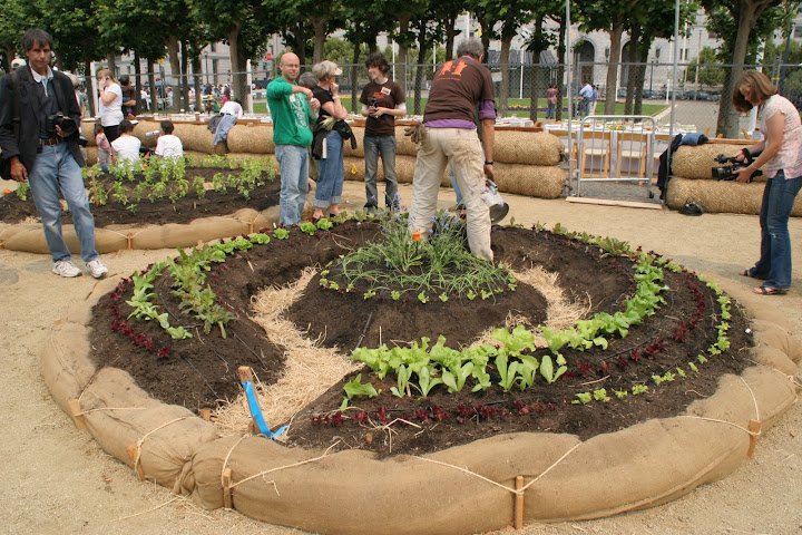 composting leaves vegetable scraps garden