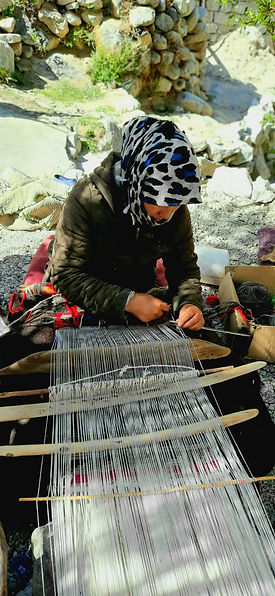 From Sheep to Shawl: Sourcing Local Wool for the S...