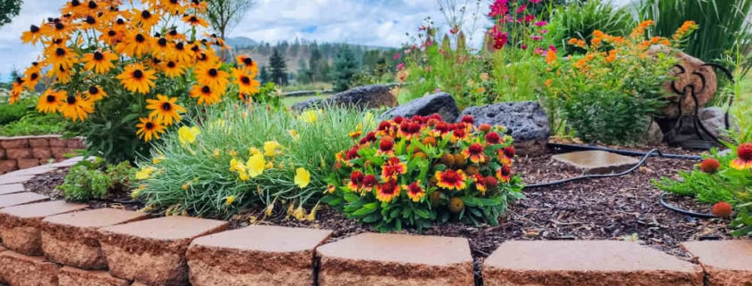Unlock Your Soil's Potential: A Beginner's Guid...
