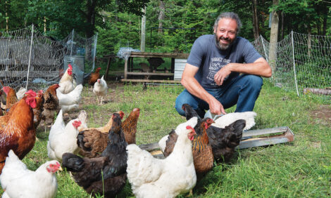 Level Up Your Homestead: Building a Mobile Chic...