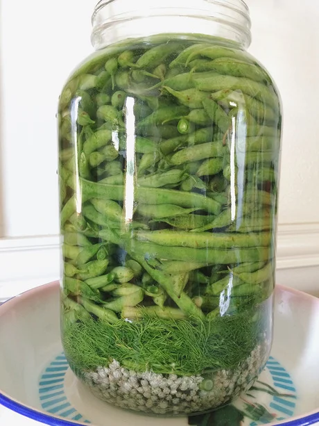 Tangy, Homemade Goodness: Fermented Pickled Gre...