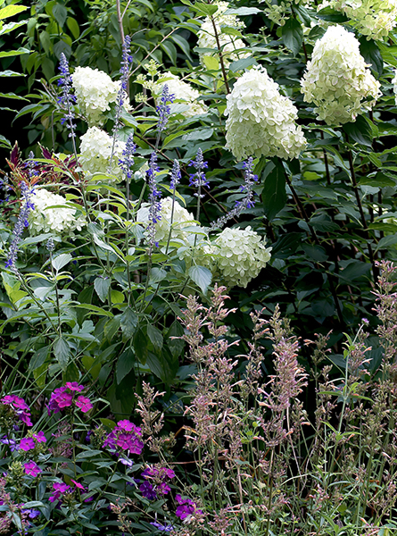 Attract Thriving Pollinators: A Beginner's Guid...