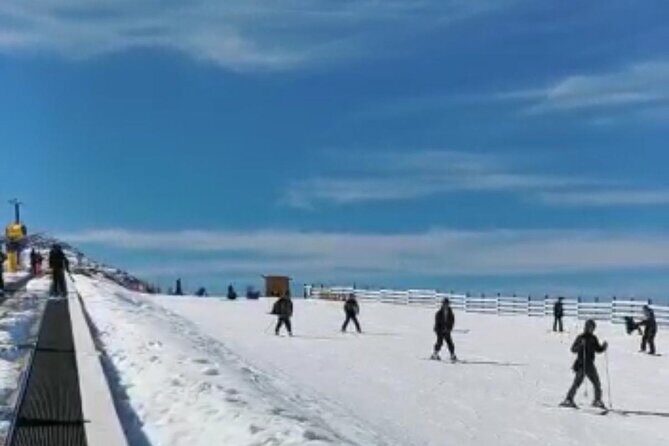 Family laughing as they snow tube down a run at Coronet Peak