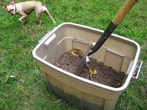 Unleash Your Homestead's Potential: Build a High...