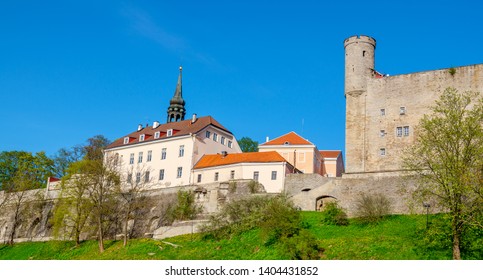 Selection of handmade crafts and Christmas decorations displayed on a wooden stall at the Tallinn Christmas Market
