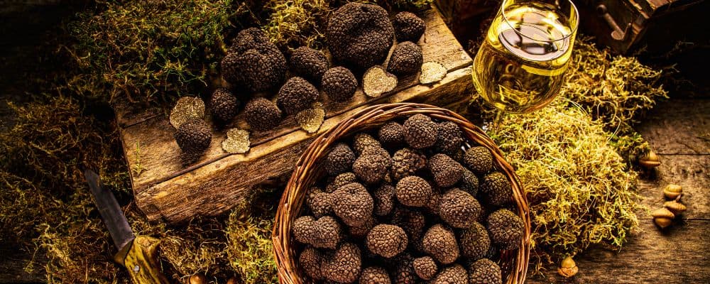 Agile Creative Teams