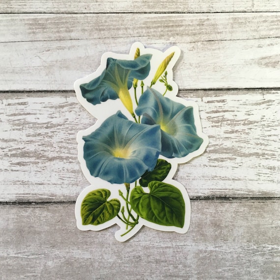 A close-up shot of a GreenThumb Goodies information card with a QR code, promising a personalized video message from a botanist.