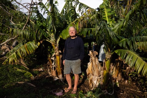 Lord Howe Island Woodhen