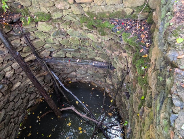 A look into a very large well in the woods