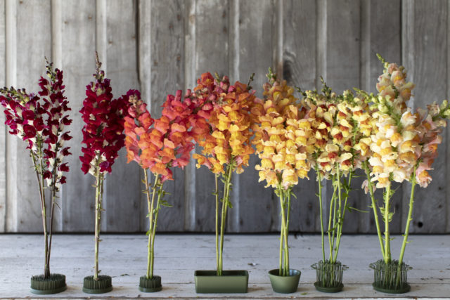 A close-up of vintage flowers in a vintage vase.