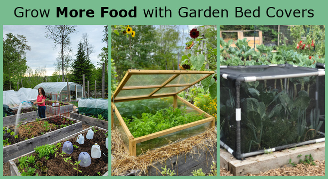 A raised garden bed with a wire mesh fence surrounding it.