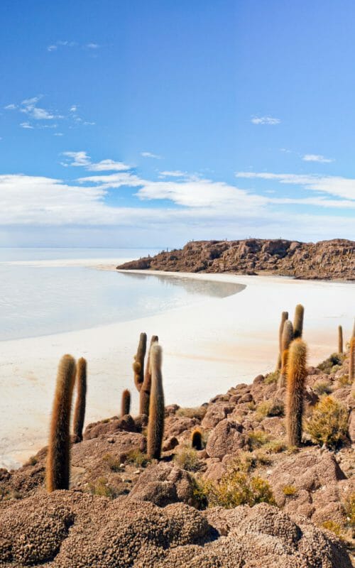 Hexagonal salt patterns on the Salar de Uyuni, creating a unique texture and visual appeal.