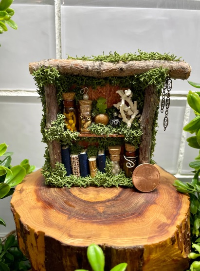 Planting succulents and ground cover in a fairy garden, creating a diverse and colorful landscape.