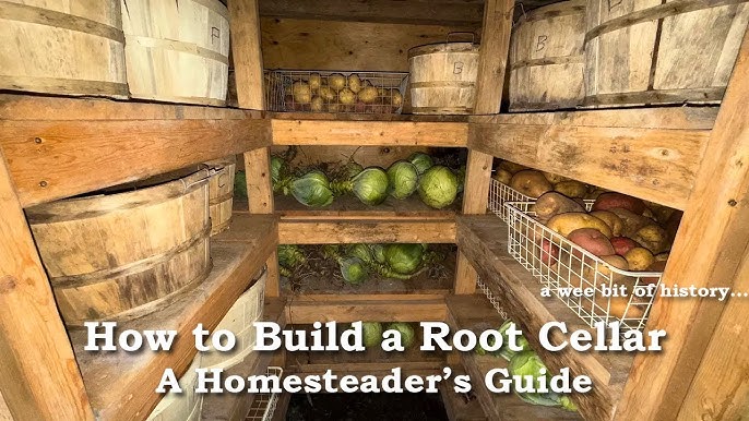 Digging Deep for Self-Sufficiency: Building a S...