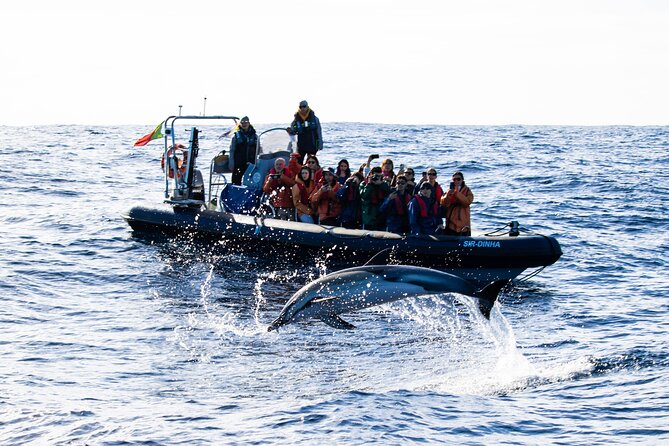 # Azores Anniversary Adventure: Celebrating 10 Yea...