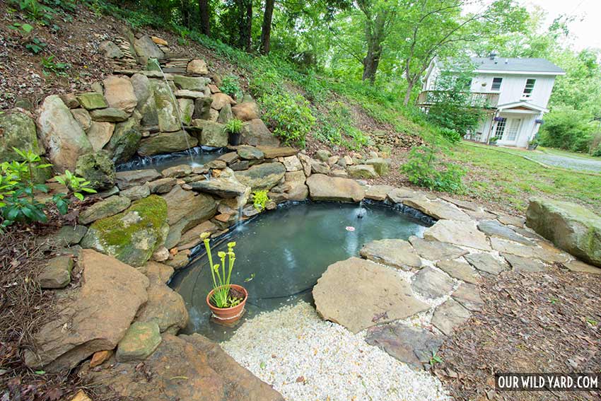 person sketching pond design outdoors
