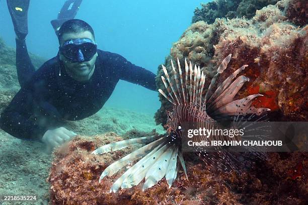 A freediver spearing a lionfish amidst coral reefs