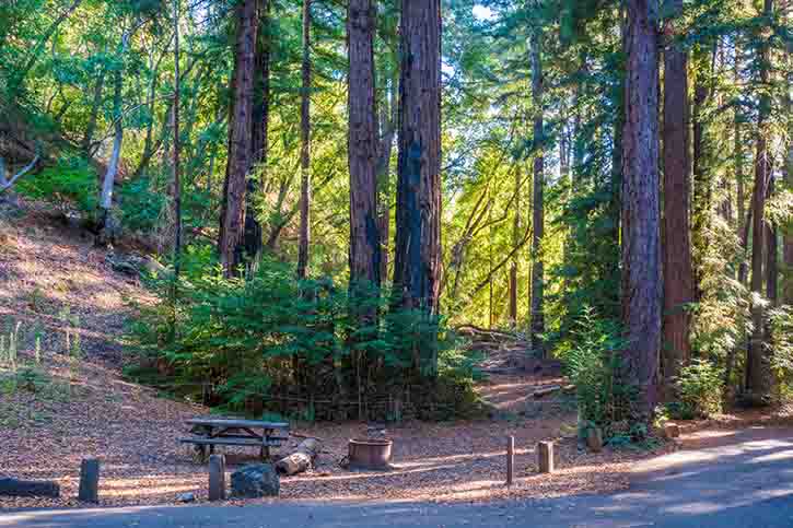 NEMO Aurora Highrise 6-Person Tent Setup at Pfeiffer Big Sur Campsite #96