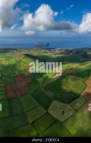 View of a coastal azores village at sunrise with blue hydrangeas in the foreground