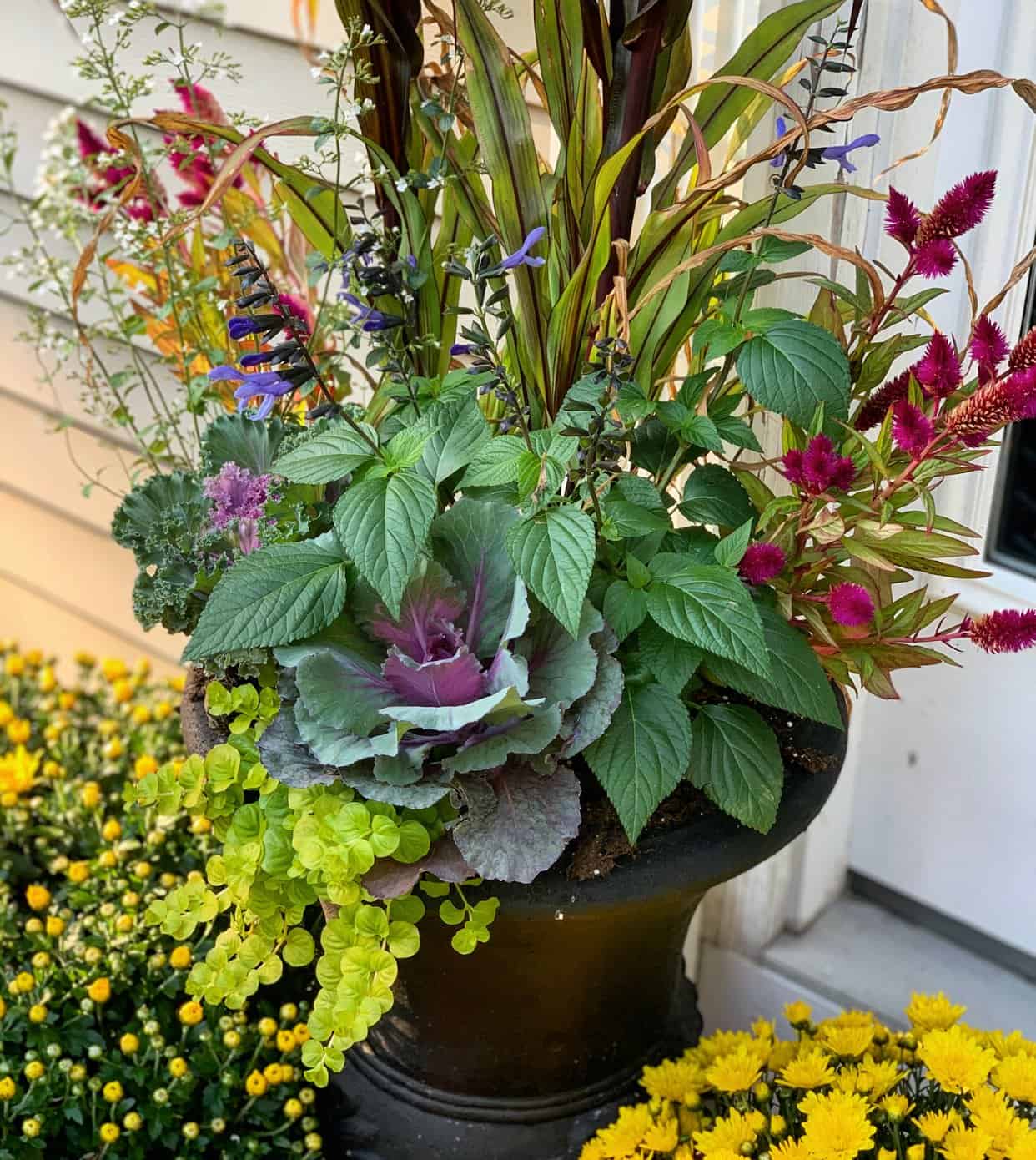 hands watering container garden watering can