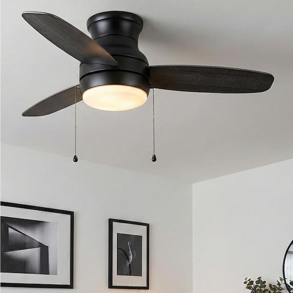 Urban Harvest's "Heirloom Tomato Starter Kit" featuring colorful packaging and organic seeds.