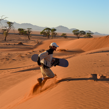 Albatross Sandboarding in Walvis Bay
