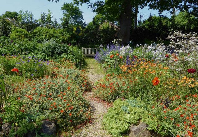 thriving herb garden companion planting examples