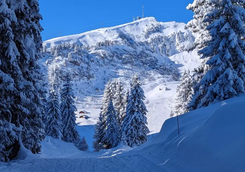 An ice diver swims beneath a thick layer of ice, illuminated by natural light filtering through the cracks. The water is crystal clear, revealing the stark beauty of the frozen underwater environment. This image showcases the otherworldly experience of ice diving in Finland.