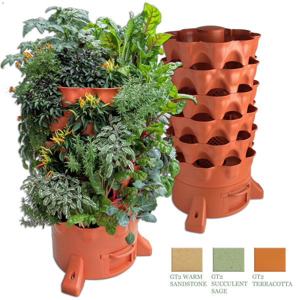 Thriving plants growing in compost-enriched soil.