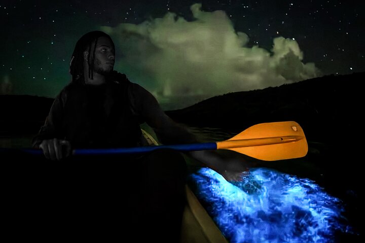 Bioluminescent Bay