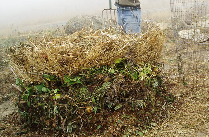 healthy soil teeming with earthworms and microbes