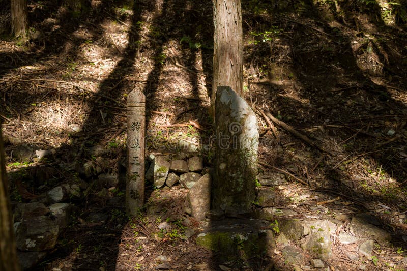 # Find Yourself in the Peaks: Transformative Mount...