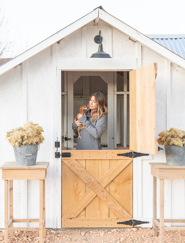 Build a Dream Chicken Coop Without Breaking the...