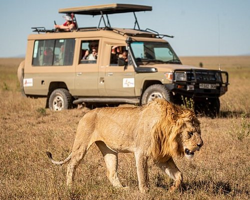 Image of Maasai community members creating traditional beaded jewelry with Singita's support, highlighting the intricate designs and cultural significance.