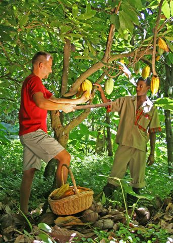 # Jade Mountain: Where Chocolate, Coral, and Celes...