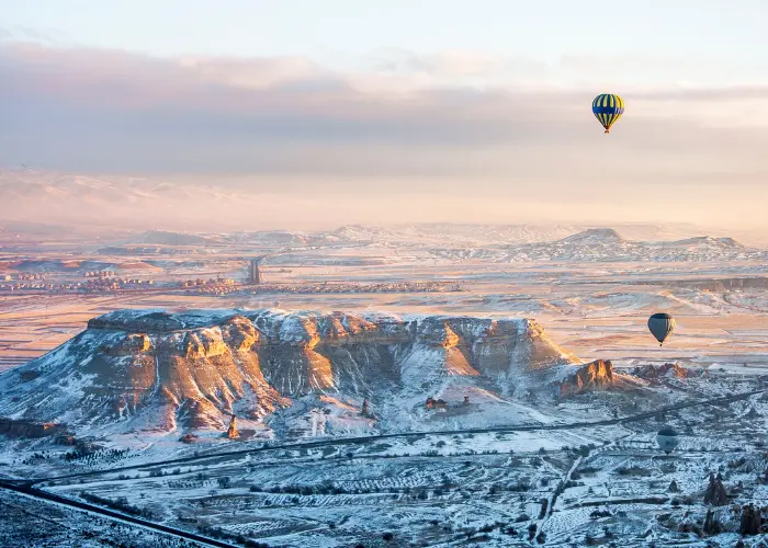 Marine Iguanas on the shore of the Galapagos Islands during sunset. The image highlights the wildlife of Galapagos, in addition to their conservation.