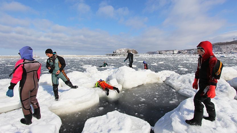 A wide-angle shot showing people walking on the vast expanse of drift ice, with the horizon stretching into the distance. Capture the harsh, cold light of a winter day. High resolution, sharp focus throughout the image, slightly desaturated colors to emphasize the coldness. Adventurous, awe-inspiring, slightly desolate.
