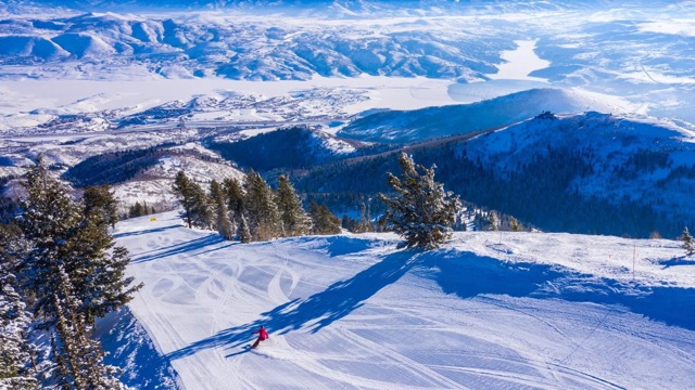Skiers carving through powder