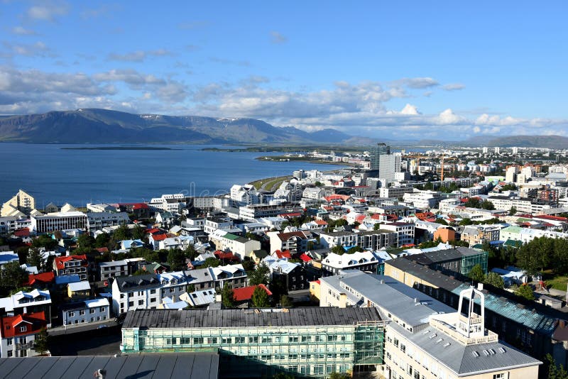 Messinn's Signature Plokkfiskur