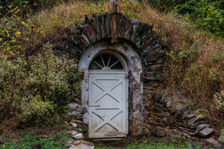 From Garden to Grub: Building a Budget-Friendly...