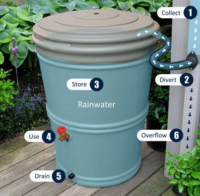 Illustration of the first flush diverter construction, showing labeled components